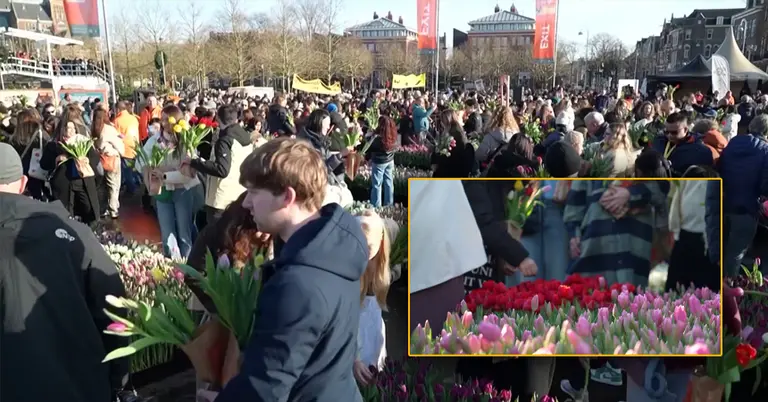 টিউলিপ ফুলে নেদারল্যান্ডসে বসন্ত বরণ